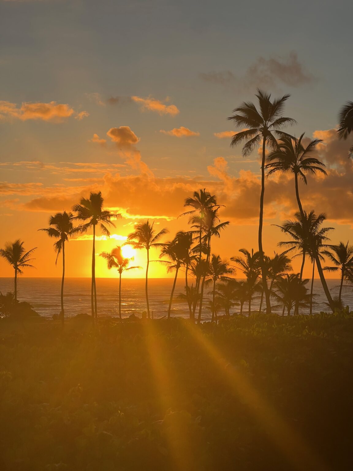 Just a Member Chip Filson